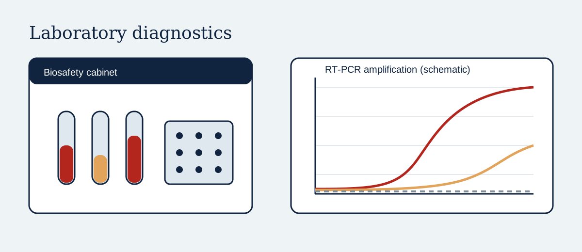 Illustration of sample tubes in a biosafety cabinet and an RT-PCR amplification curve