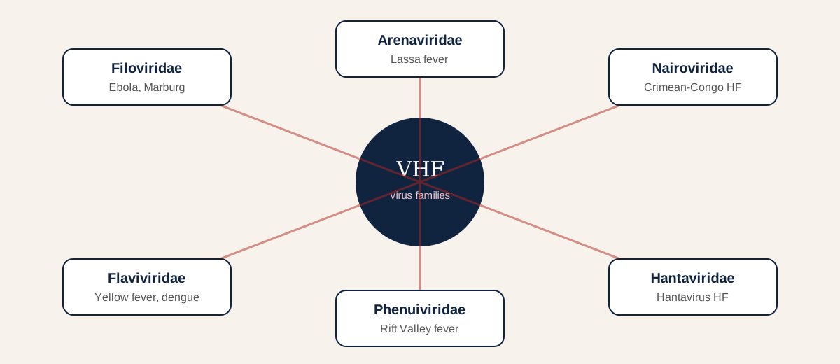Diagram of virus families causing viral haemorrhagic fevers: Filoviridae, Arenaviridae, Nairoviridae, Flaviviridae, Phenuiviridae, Hantaviridae